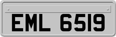 EML6519