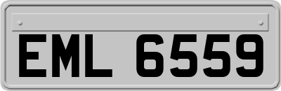 EML6559