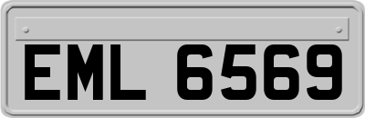 EML6569