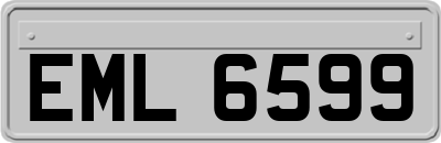 EML6599