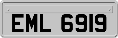 EML6919