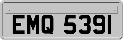 EMQ5391