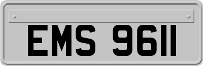 EMS9611