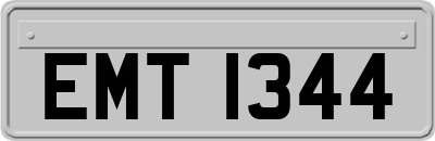 EMT1344