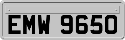 EMW9650