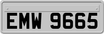 EMW9665