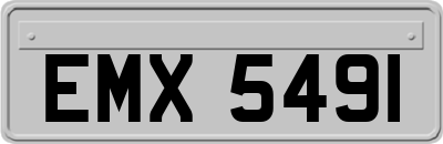EMX5491