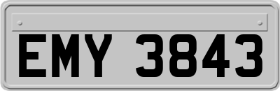 EMY3843