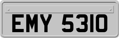 EMY5310