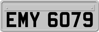 EMY6079