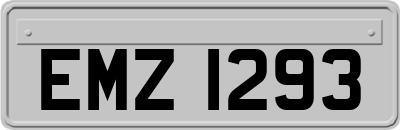 EMZ1293
