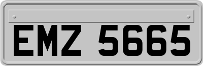 EMZ5665