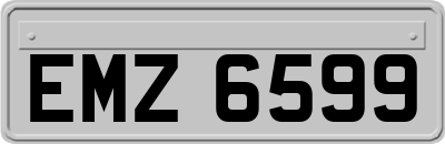 EMZ6599
