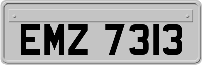 EMZ7313