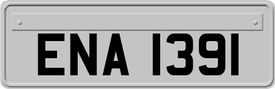 ENA1391
