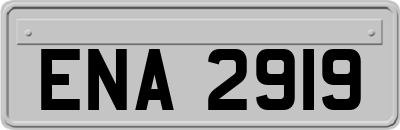 ENA2919