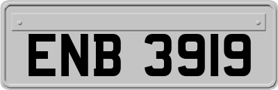 ENB3919