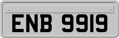 ENB9919