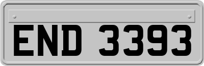 END3393