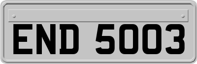END5003