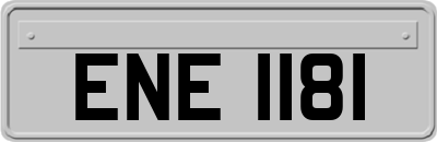 ENE1181