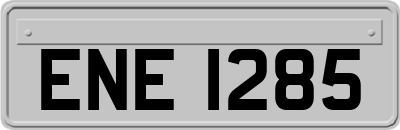 ENE1285