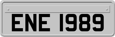 ENE1989