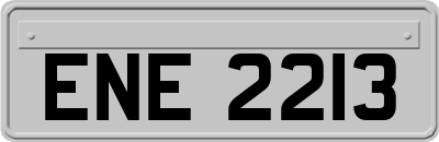 ENE2213