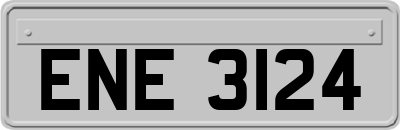 ENE3124