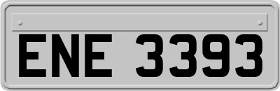 ENE3393