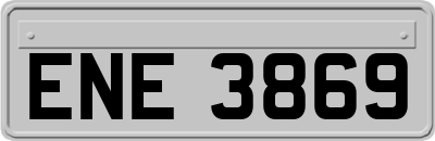 ENE3869