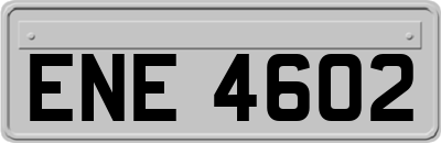 ENE4602
