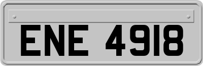 ENE4918