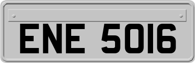 ENE5016