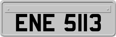 ENE5113