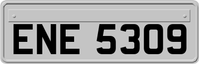 ENE5309