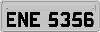 ENE5356