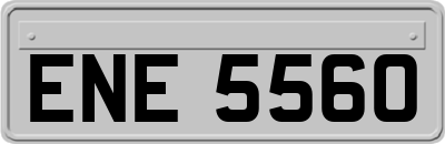 ENE5560