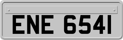 ENE6541