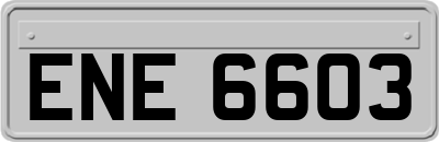 ENE6603