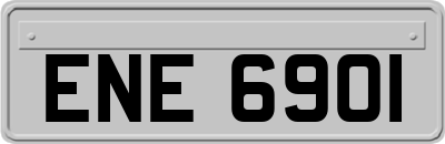 ENE6901