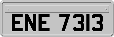 ENE7313