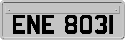 ENE8031