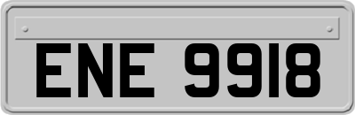 ENE9918