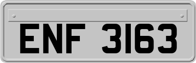 ENF3163