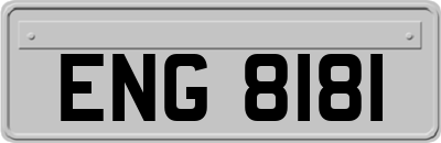 ENG8181
