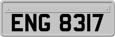 ENG8317