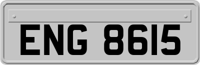 ENG8615