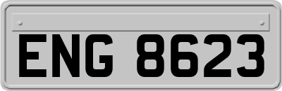 ENG8623