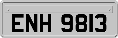 ENH9813